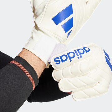 ADIDAS PERFORMANCE Athletic Gloves in White