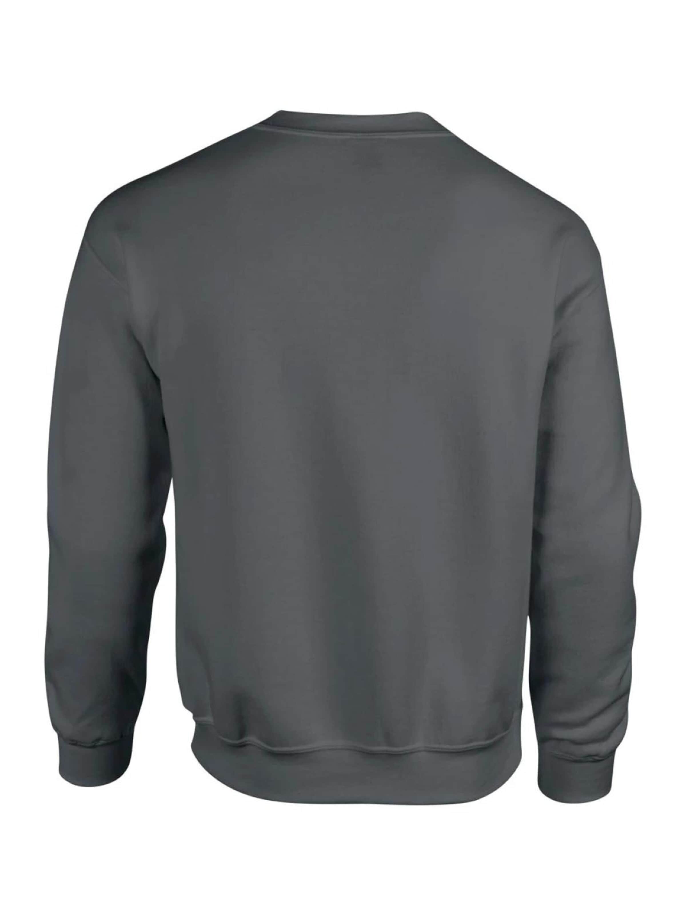Thin Lizzy Sweatshirt 'Thin Lizzy Boys Are Back in Town Sweatshirt' in Grey