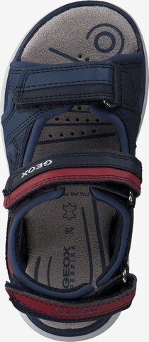 GEOX Offene Schuhe 'J15DRB' in Blau