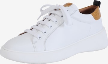 Ekonika Sneaker in White: front
