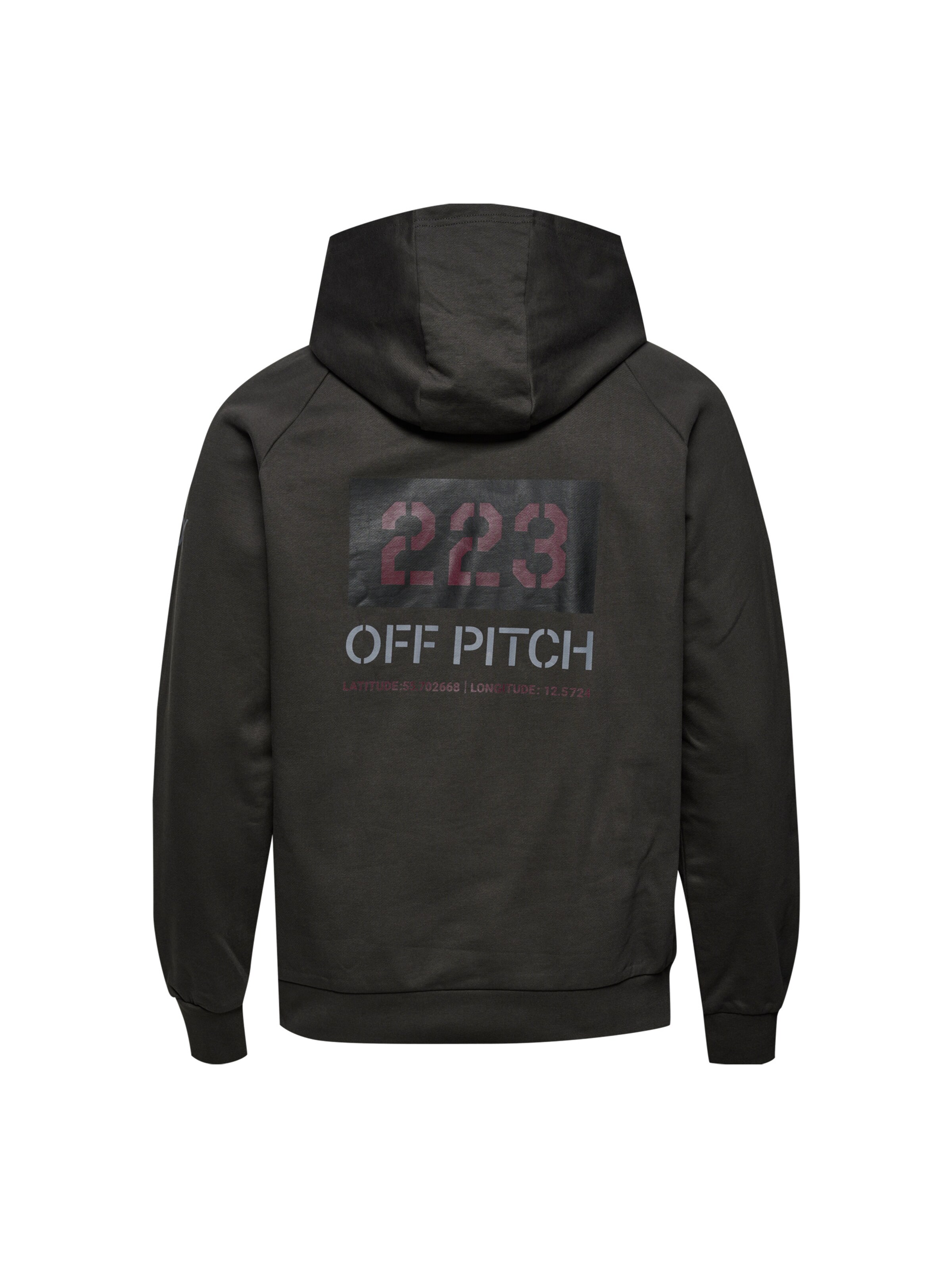 HALO Sweatshirt in Grey