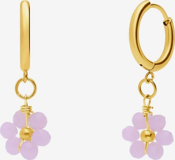 Lucardi Earrings in Gold: front