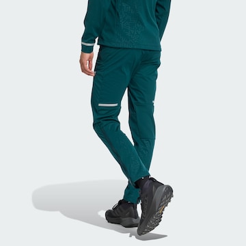 ADIDAS TERREX Slimfit Sportbroek 'Xperior' in Groen