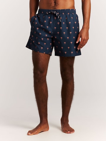 PROTEST Badeshorts 'PRTMascot'‌‌‌‌‌‌‌‌‌‌ in Blau