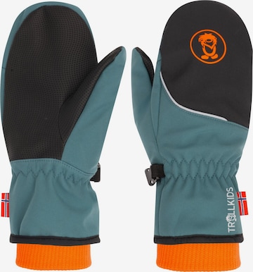 TROLLKIDS Gloves in Blue: front