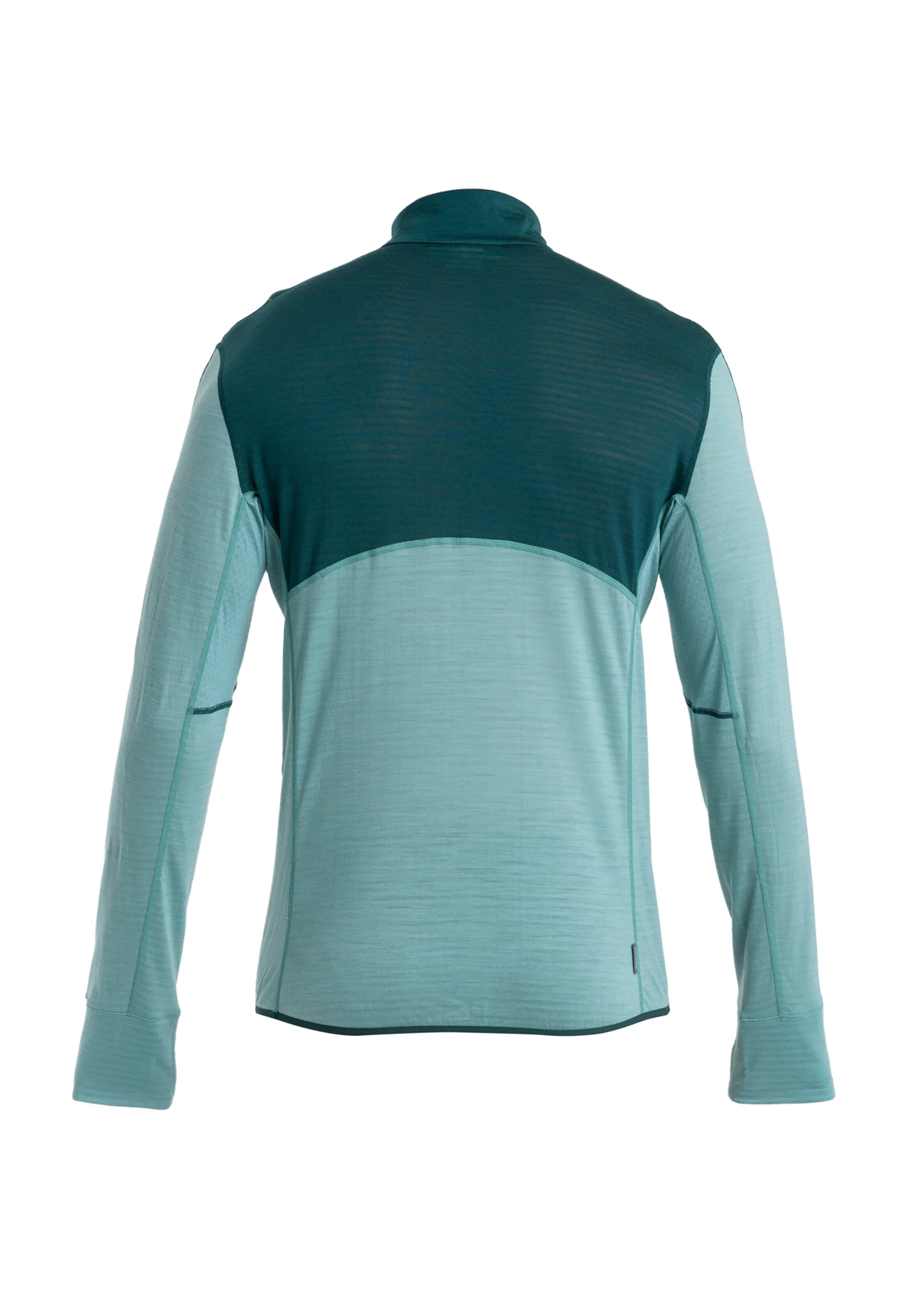 ICEBREAKERTehnička sportska majica 'Realfleece Descender' - zelena boja