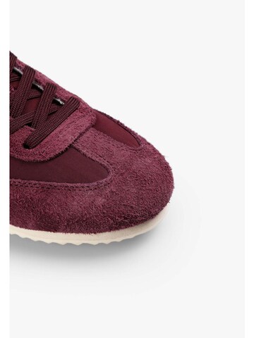 Baskets basses 'Nats' Scalpers en rouge