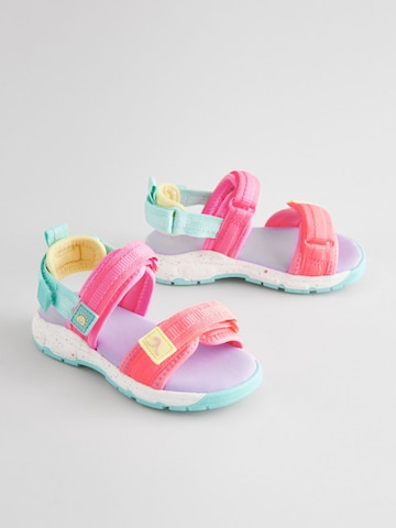 Sandalo di Next in rosa