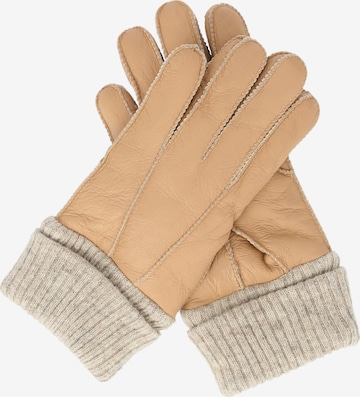 Whistler Full Finger Gloves 'Desiree' in Brown: front