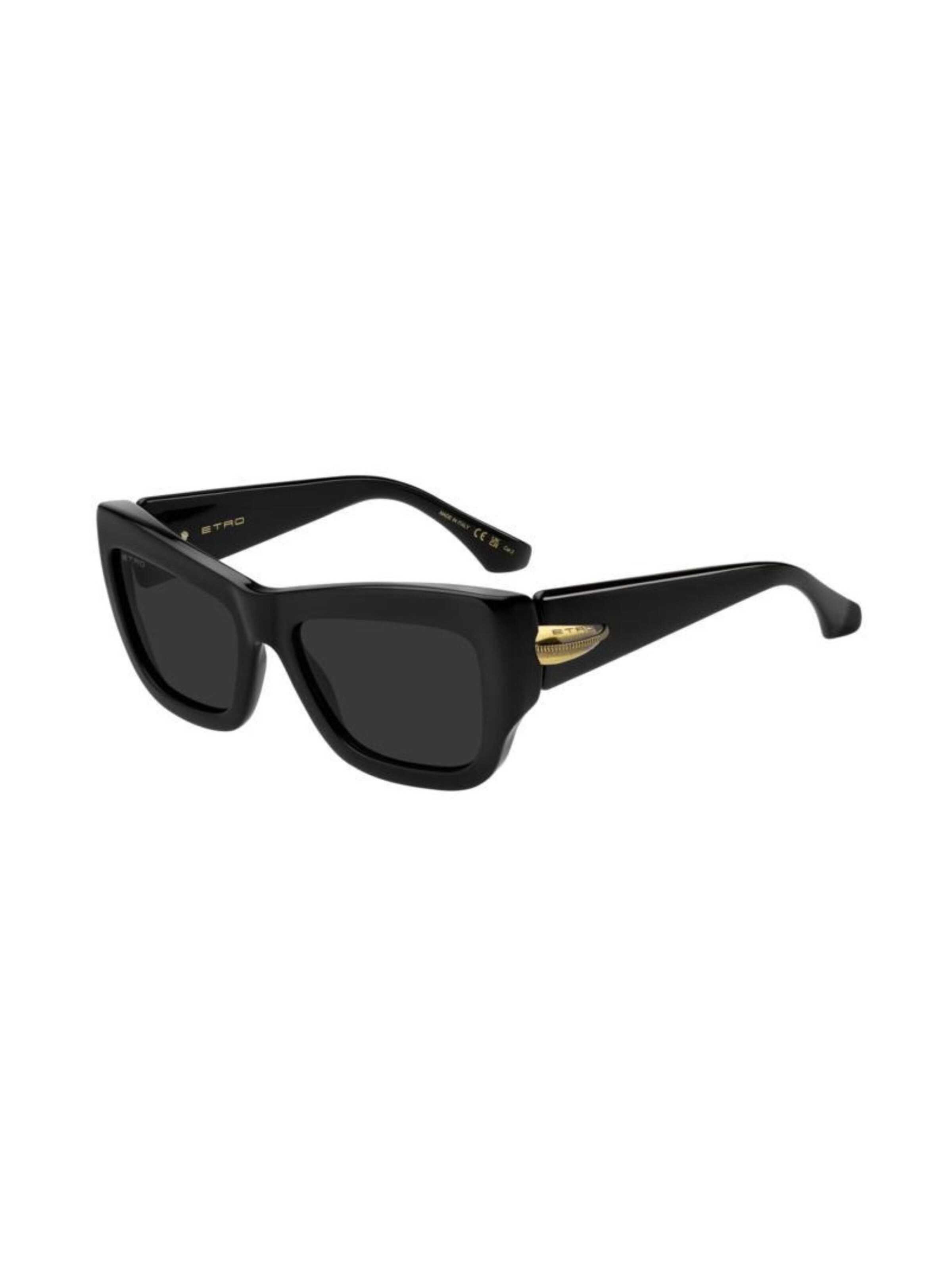 Etro Sunglasses in Black: front
