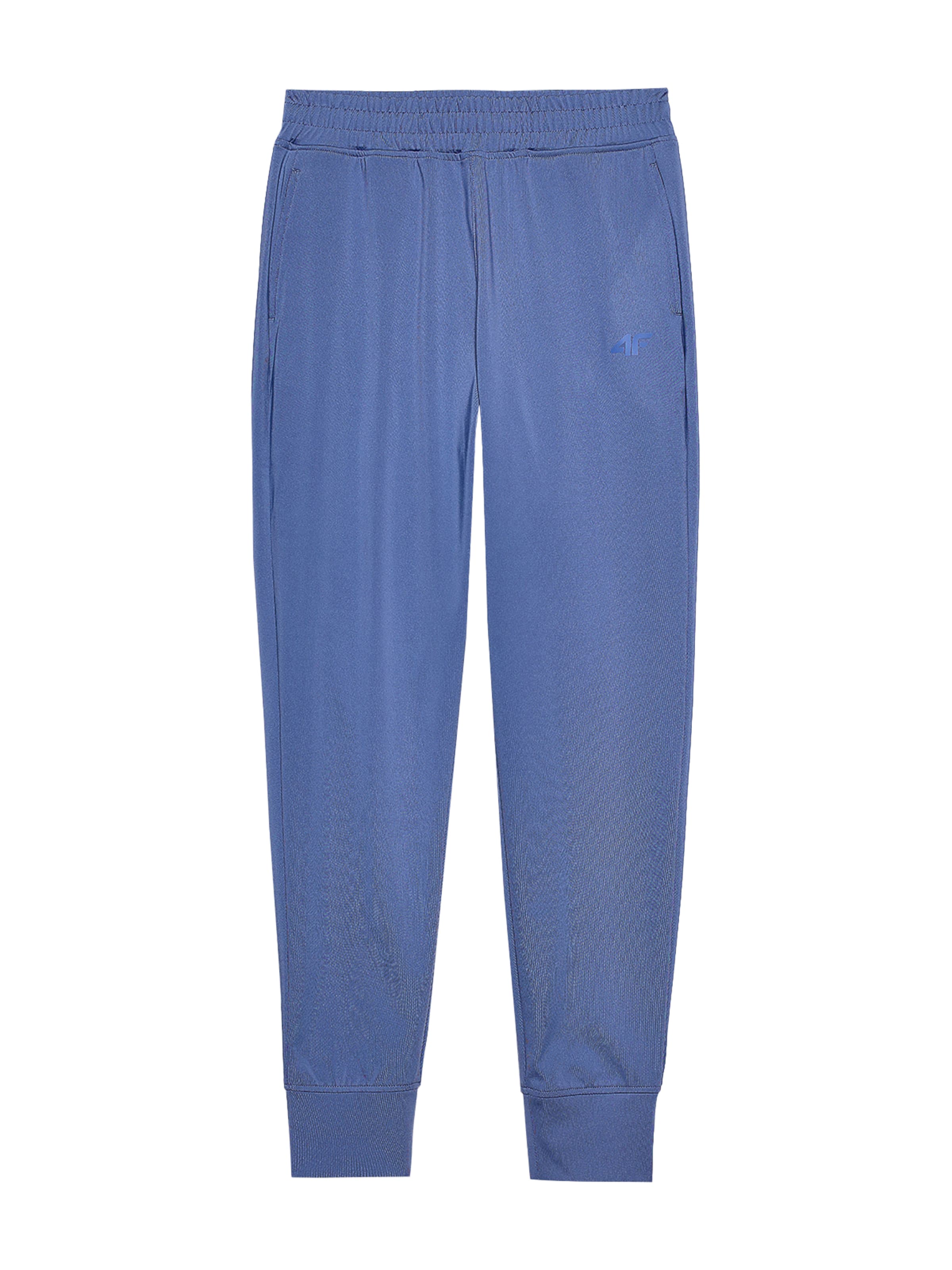 Effilé Pantalon de sport 4F en bleu : devant