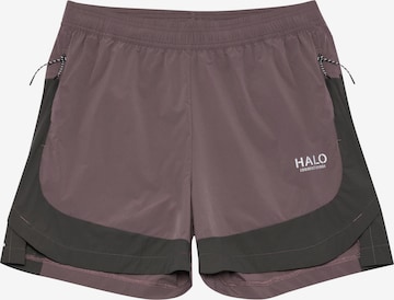 HALO Regular Sportshorts 'Division' in Grau: Vorderseite