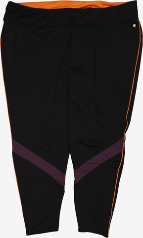 SHEEGO Pants in 8XL in Black: front