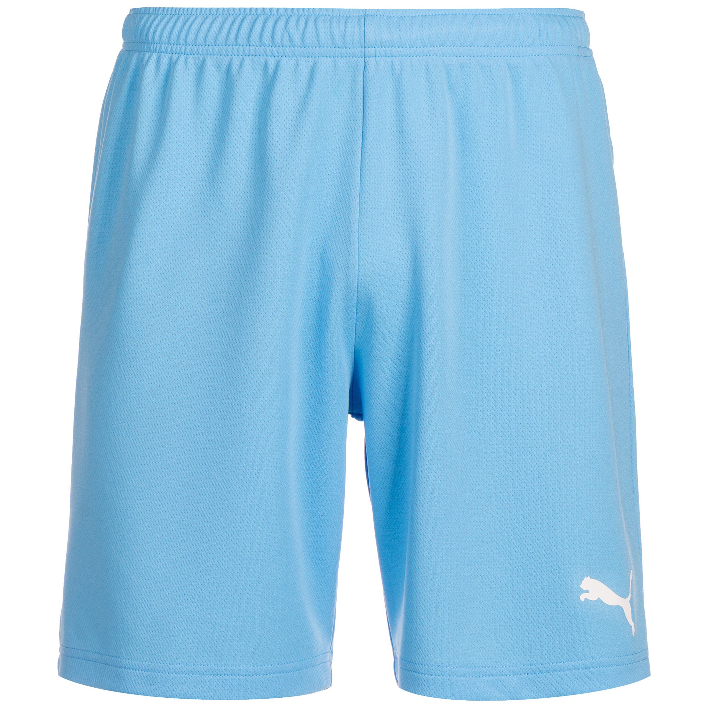 PUMA Workout Pants 'TeamRise' in Blue: front