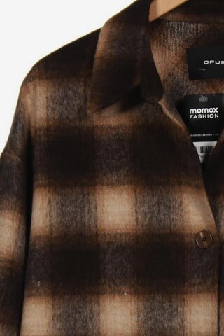 OPUS Jacket & Coat in S in Brown