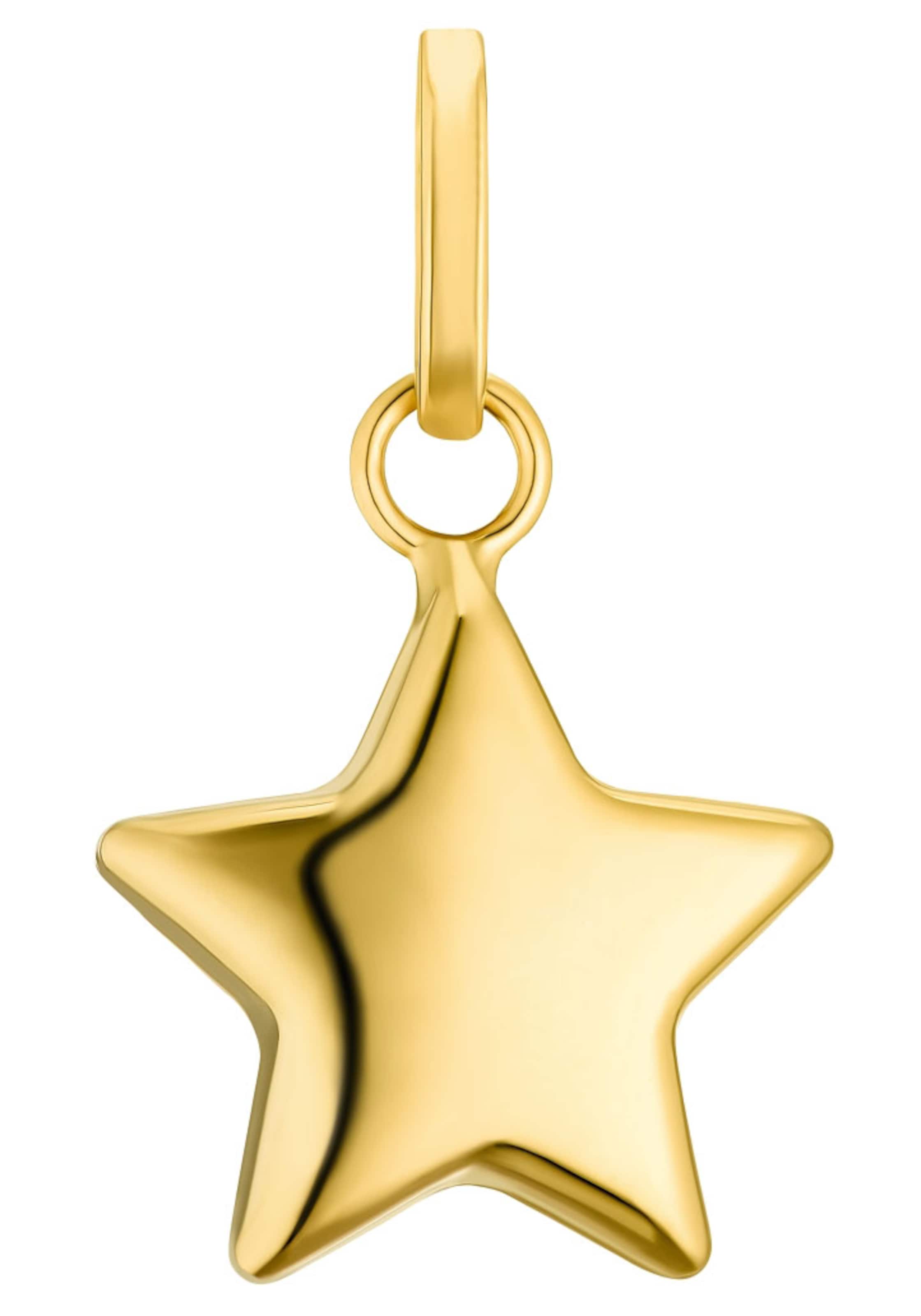 AMOR Pendant 'Stern' in Gold: front