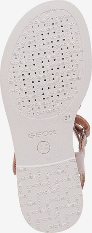 GEOX Sandale 'Karly' in Pink