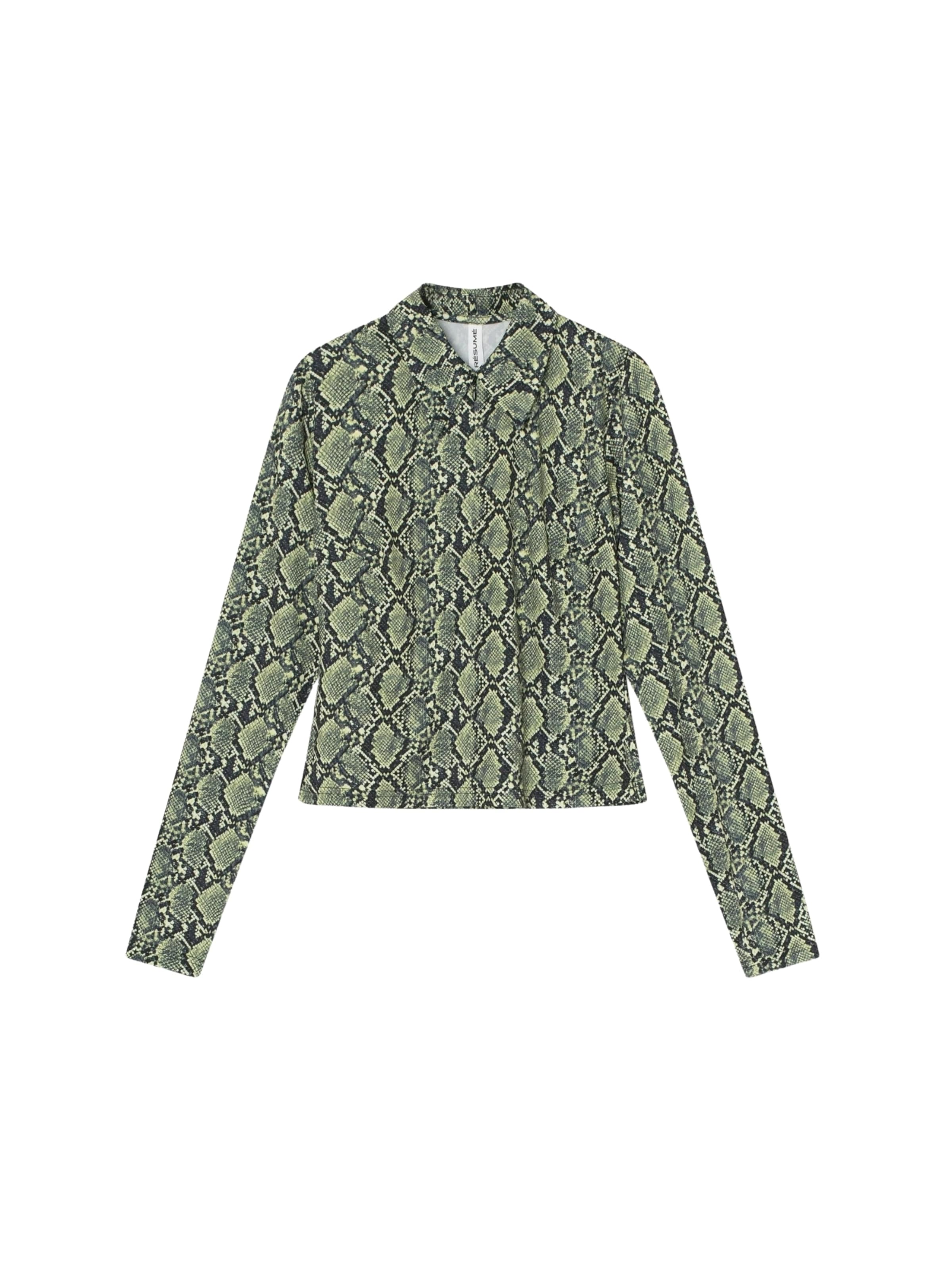 Résumé Shirt 'Cheyenne' in Groen: voorkant