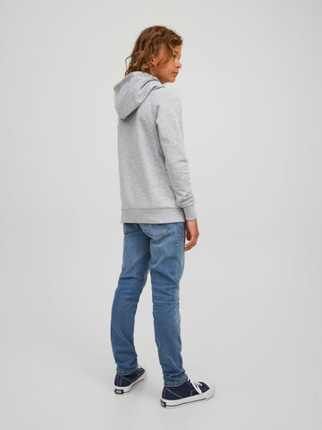 Felpa 'Logan' di Jack & Jones Junior in grigio