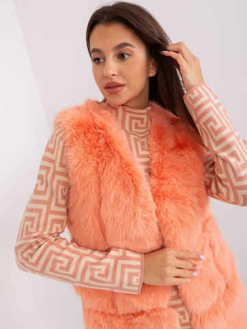 Madnezz House Weste '2368.00P' in Orange