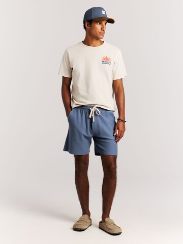 PROTEST Regular Pants 'PRTGraig' in Blue