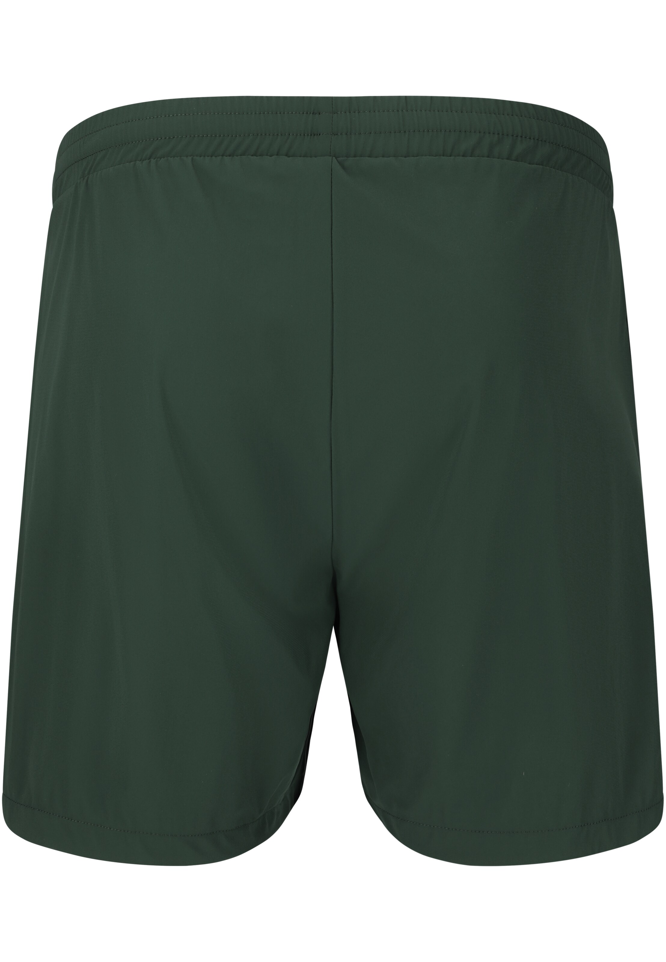 ENDURANCE Regular Sports trousers 'Dyne' in Green