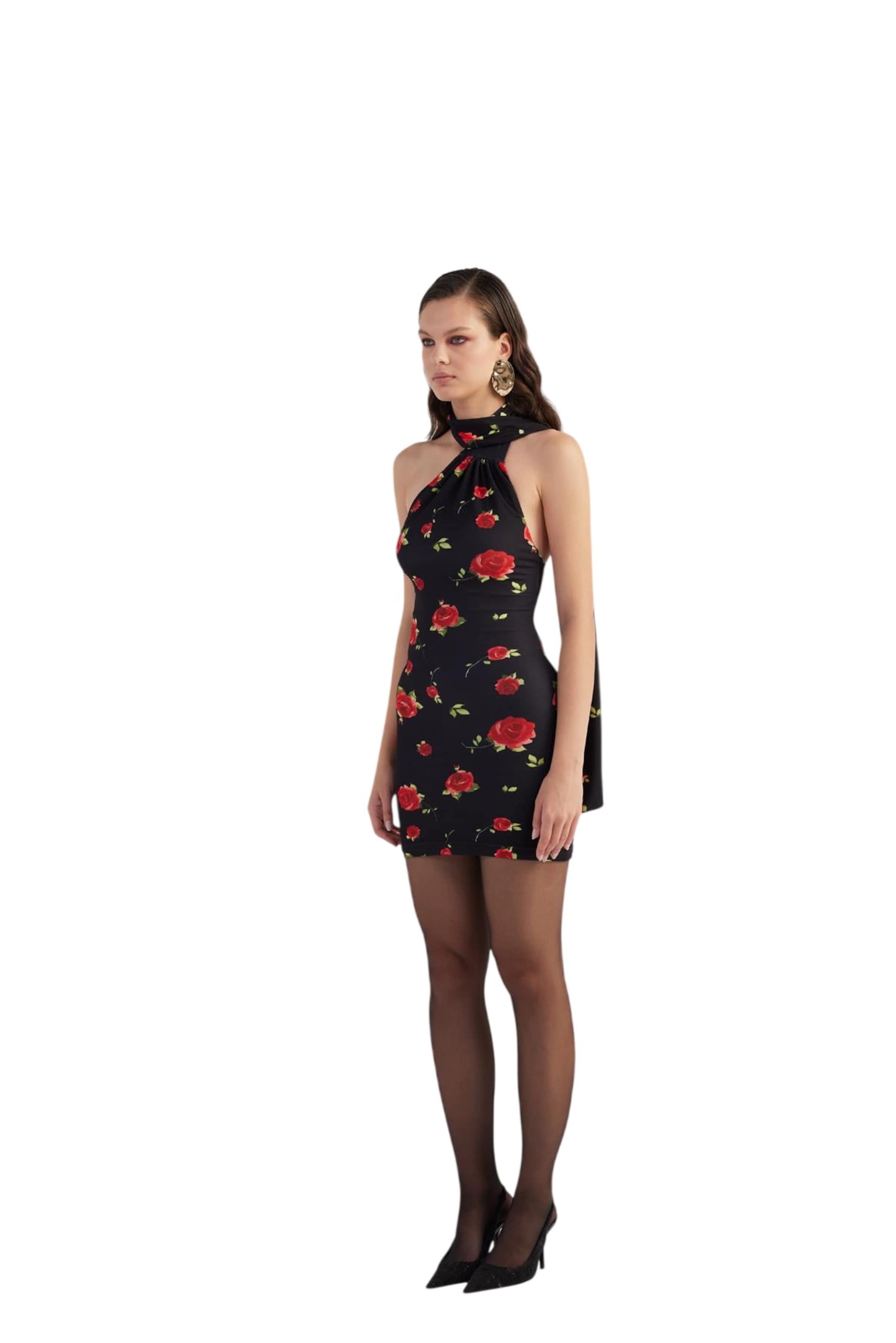 HOLLY LOLLY Dress in Black