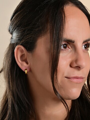 Akzent Earrings 'Delia, langlebig' in Gold: front