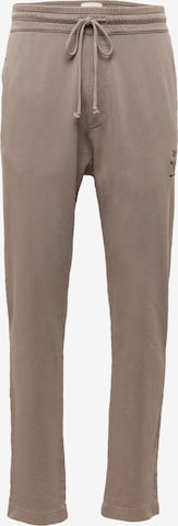 DRYKORN Regular Pants 'DRYKORN x ABOUT YOU JEGER_CONSCIOUS' in Brown: front