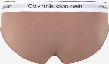 smėlio Calvin Klein Underwear Plus Moteriškos kelnaitės