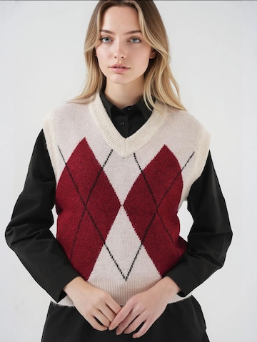 Pullover di Bigdart in rosso