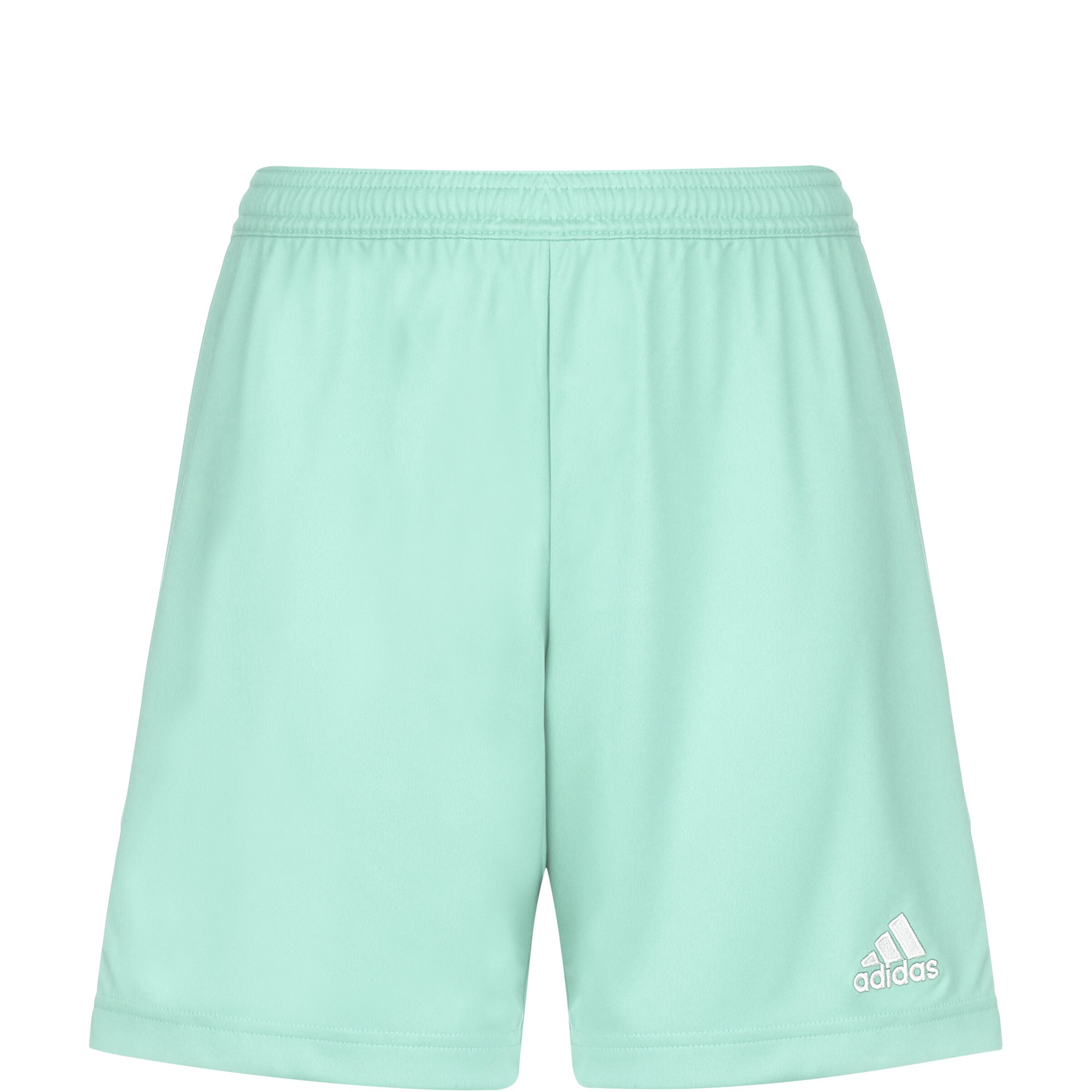 ADIDAS PERFORMANCE Workout Pants 'Entrada 22' in Green: front