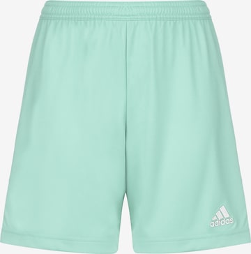 ADIDAS PERFORMANCE Workout Pants 'Entrada 22' in Green: front