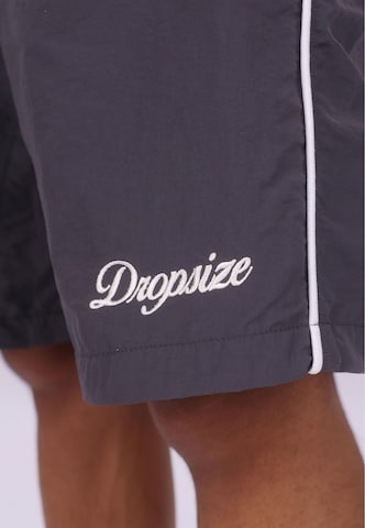 Dropsizeregular Hlače ' ' - siva boja