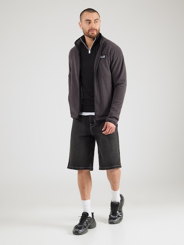 Didriksons Funktsionaalne fliisjakk, värv hall