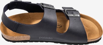 Palado Sandals in Black