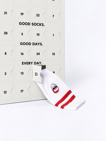 Occulto Socken 'Calendar'‌‌‌‌‌ in Weiß