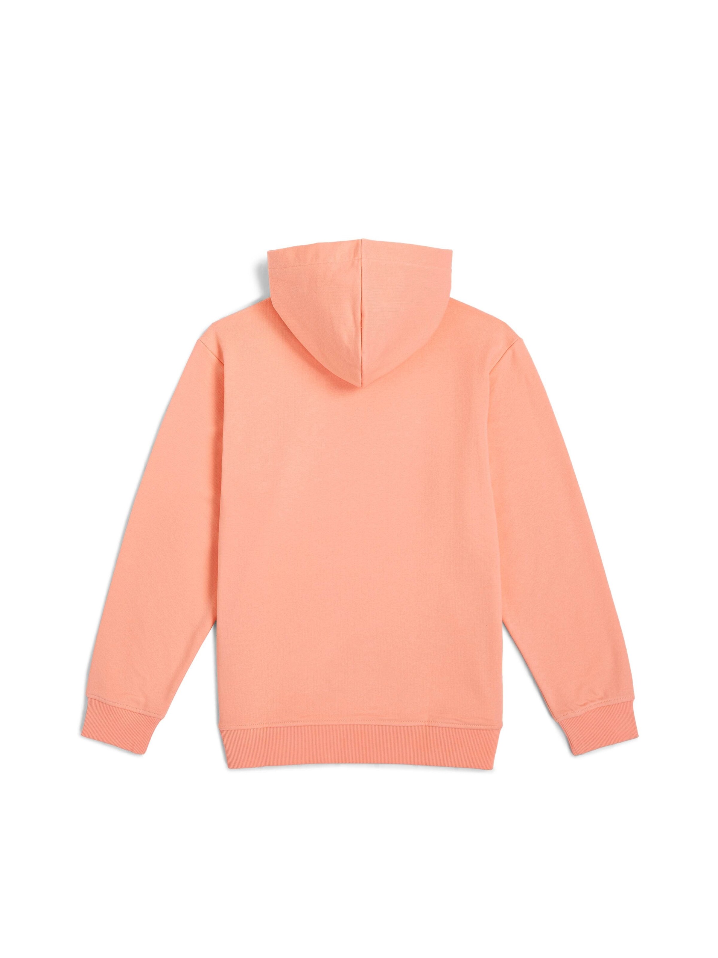 O'NEILL Sweatshirt in Orange
