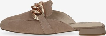 CAPRICE Mules in Brown