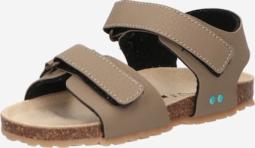 BunniesJR Sandals & Slippers 'Bas' in Grey: front