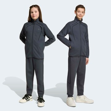 ADIDAS ORIGINALS Tapered Pants in Grey