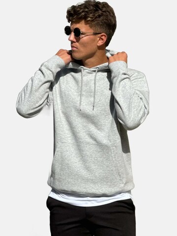 TEESHOPPEN Sweater ' Sweatshirt Hoodie ' in Grey