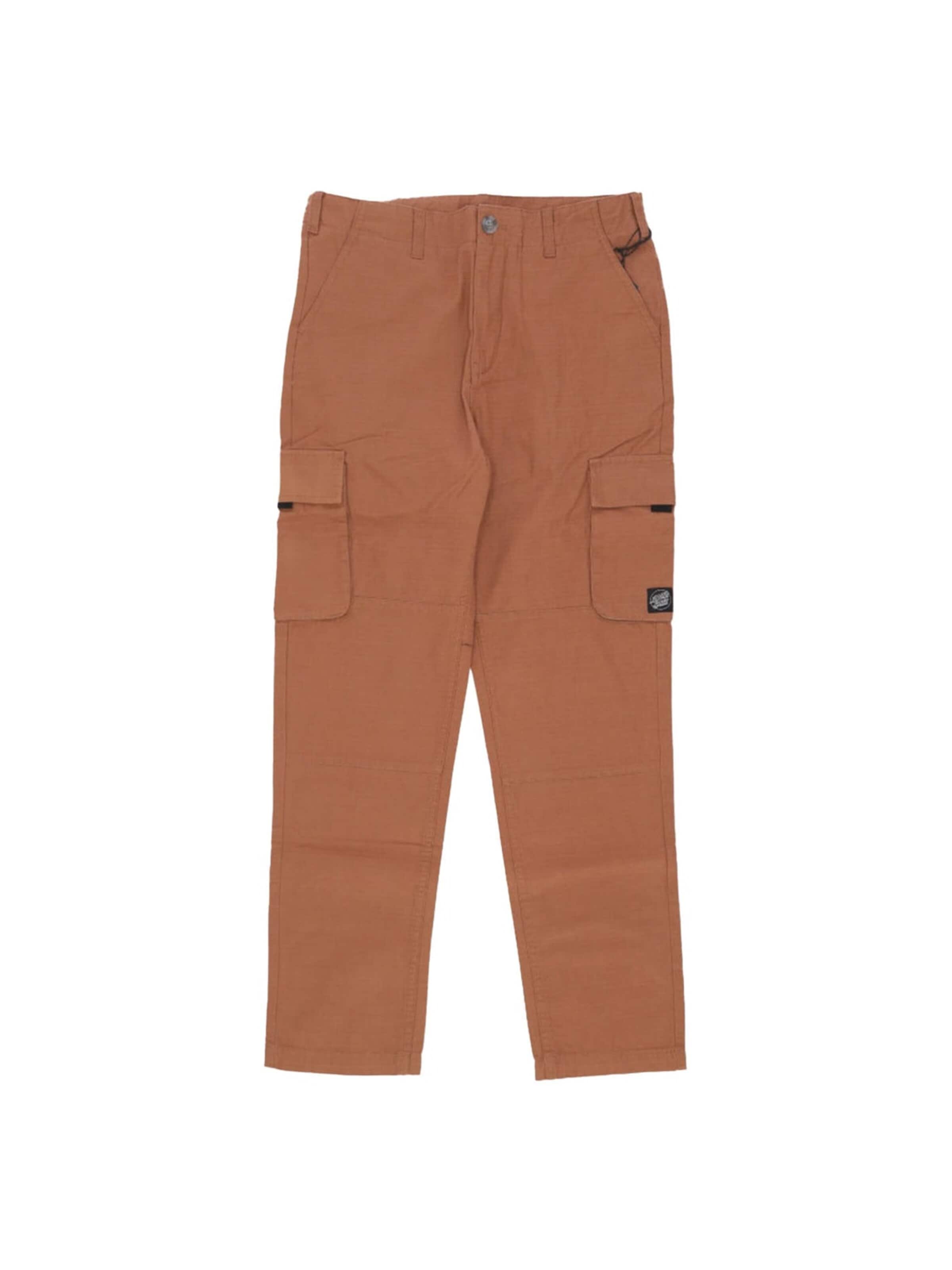 Baggy Pantaloni 'TACTICS PANT TERRACOTTA' di Santa Cruz in marrone: frontale