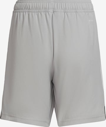 ADIDAS PERFORMANCE Regular Shorts in Grau