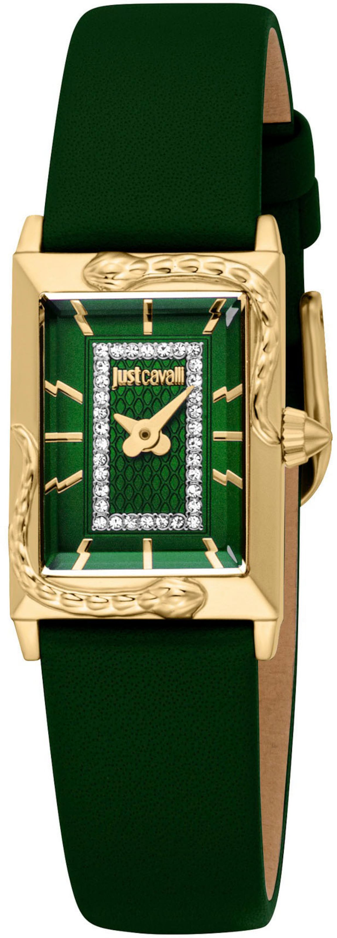Just Cavalli Time Analog Watch in Green: front