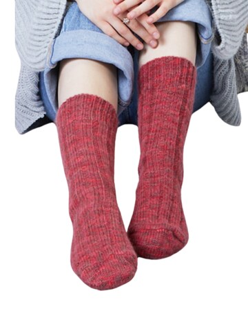 HomeOfSocks Socks 'HOS1002' in Red