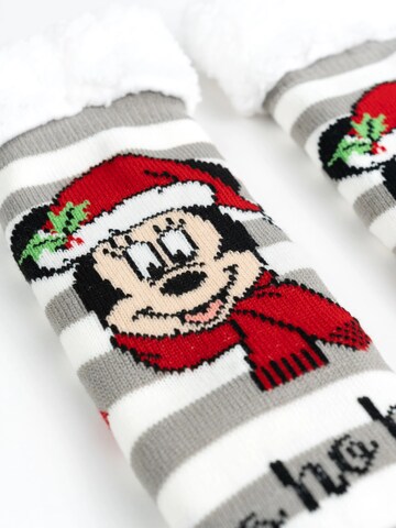 MICKEY MOUSE Socks 'Hüttensocken Ho ho' in Mixed colors