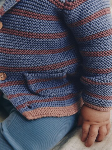 Next Strickjacke in Blau