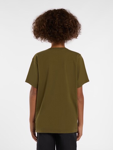 DICKIES T-shirt 'MAPLETON' i grön