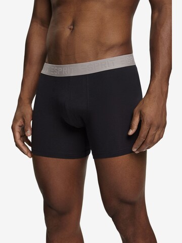 ESPRIT Boxer shorts in Mixed colors
